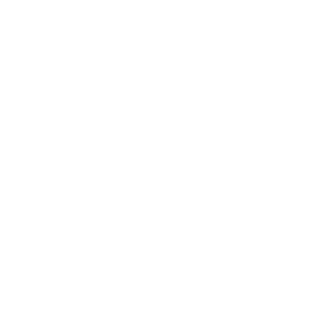 NAVGTR.png