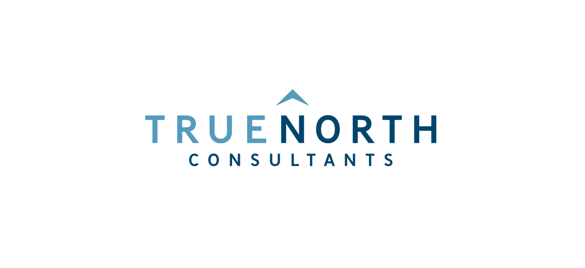 True North Consultants Logo Design